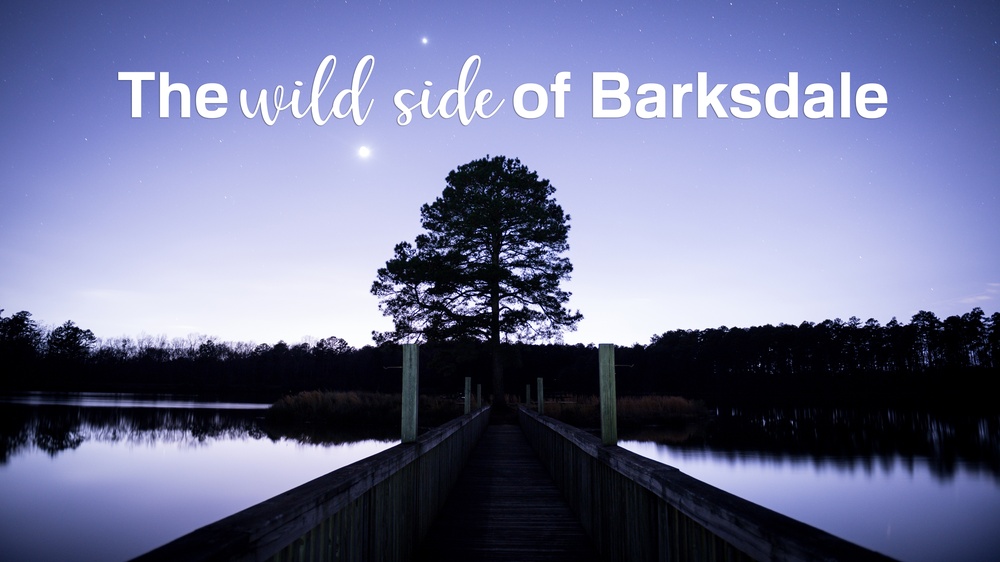 The wild side of Barksdale