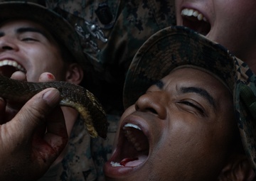Cobra Gold 20: Royal Thai, US Marines participate in jungle survival training