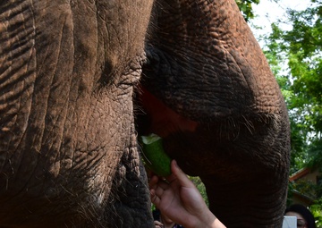 Cobra Gold: US PACAF Airmen see the sites