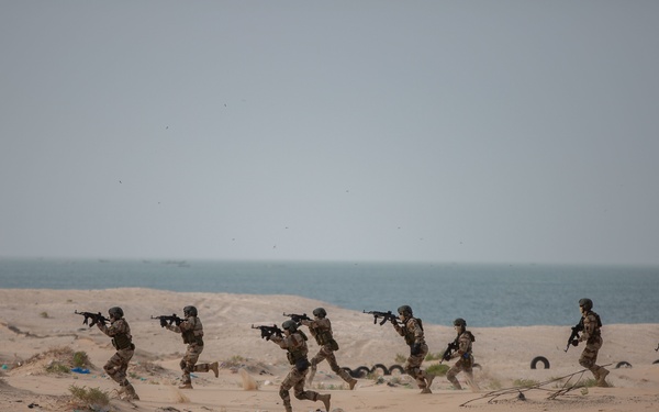 Republic of Guinea Armed Forces execute culminating drills at Flintlock 20