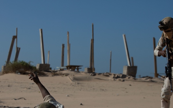 Mauritanian Soldiers execute small-unit tactics at Flintlock 20