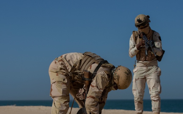 Mauritanian Soldiers execute small-unit tactics at Flintlock 20
