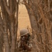 Dismounted Patrol in the Mauritanian Desert