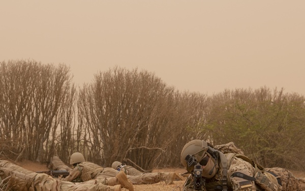 Bundeswehr Train Mauritanian Soldiers Dismounted Patrol Tactics