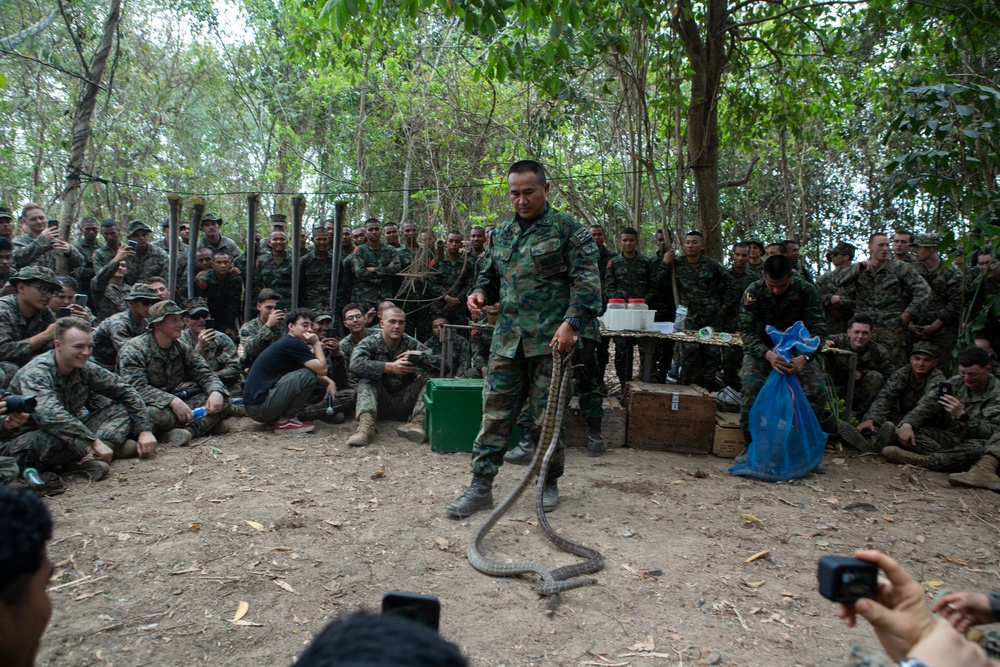 Cobra Gold 20: US, Royal Thai Marines participate in jungle survival training