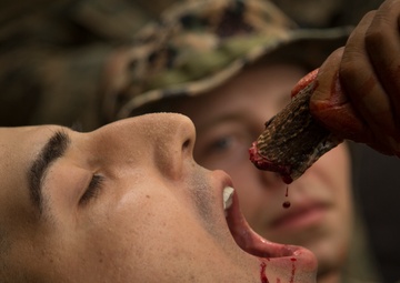Cobra Gold 20: US, Royal Thai Marines participate in jungle survival training