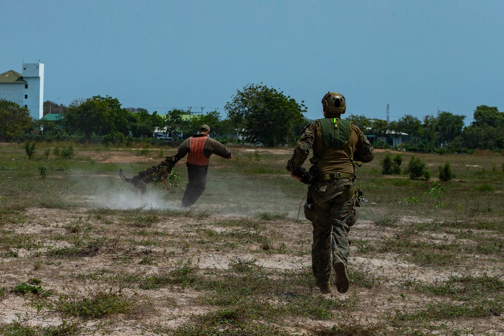 Cobra Gold 20: 31st MEU MRF jumps onto Hat Yao