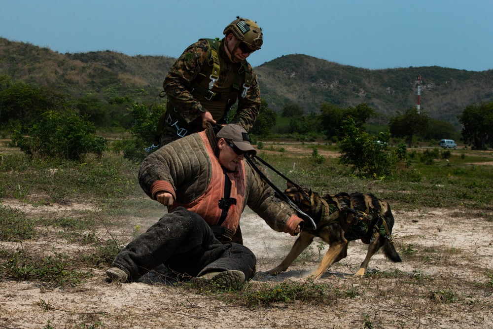 Cobra Gold 20: 31st MEU MRF jumps onto Hat Yao