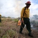 Fighting Invasive Species With Fire