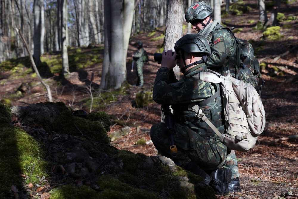 Albanian Armed Forces conduct patrol training