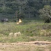 Corba Gold 20: U.S. Navy and Royal Thai Navy Surface Detonation Exercise