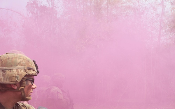 Alpha 2-35 Preparing for Cobra Gold 2020 CALFEX