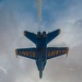 Blue Angels Winter Training Flight
