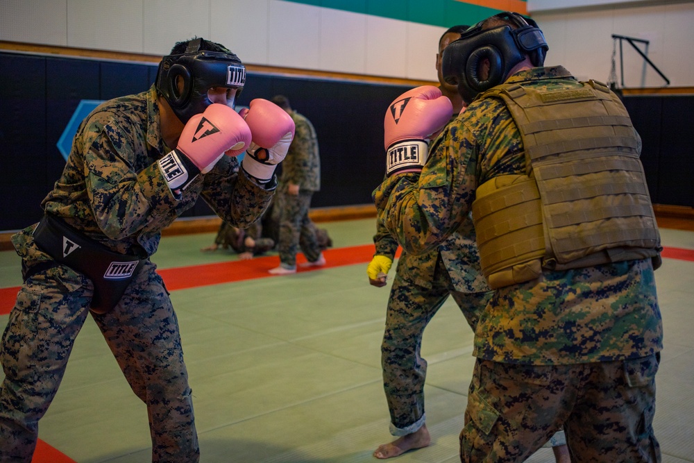 Iwakuni Marines Martial Arts Instructor Course 148-20