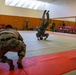 Iwakuni Marines Martial Arts Instructor Course 148-20