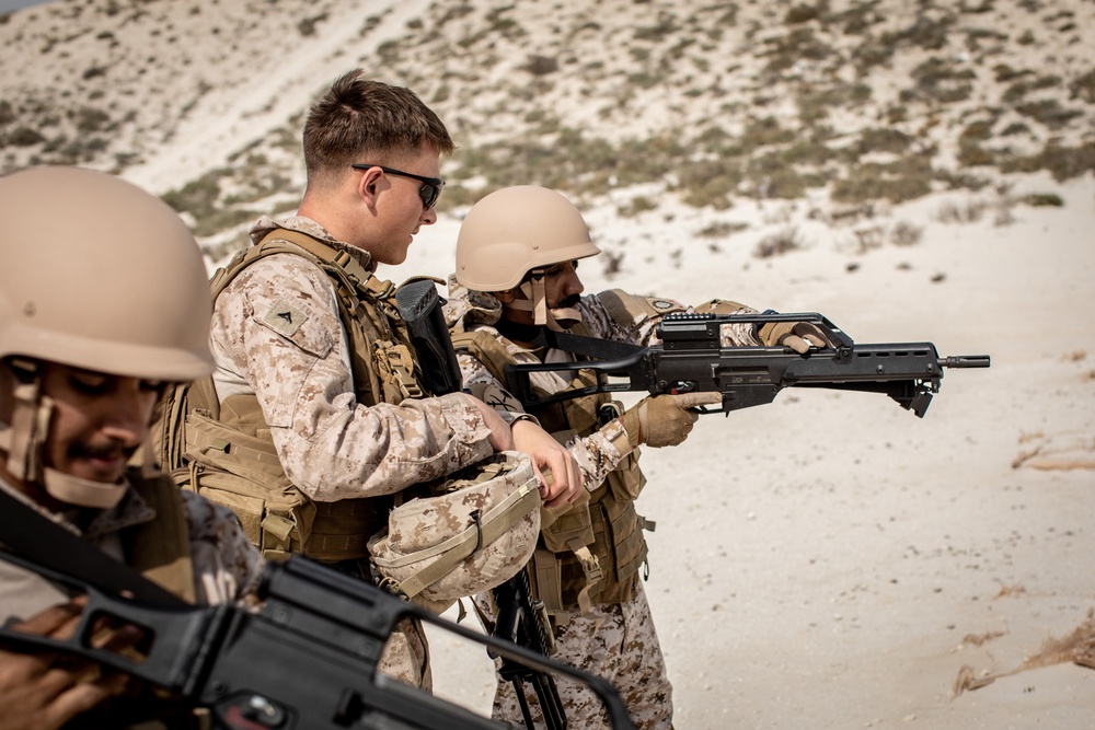 Nautical Defender 2020 – Range, Rehearse, Raid
