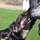 Naval Station Guantanamo Bay Working Dog Unit