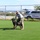 Naval Station Guantanamo Bay Working Dog Unit