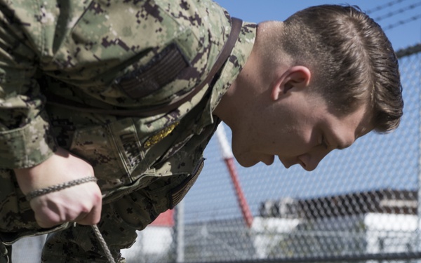 Military Working Dogs in Transit
