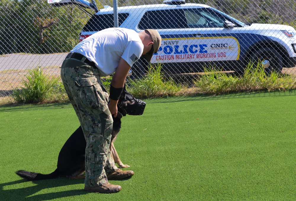 Naval Station Guantanamo Bay Working Dog Unit