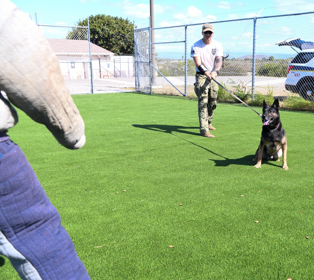 Naval Station Guantanamo Bay Working Dog Unit