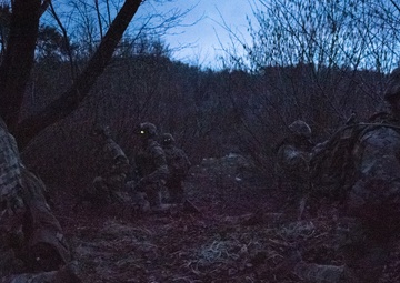 Hunters in the Night