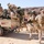 African forces build on intelligence, conduct simulated raid at Flintlock 20