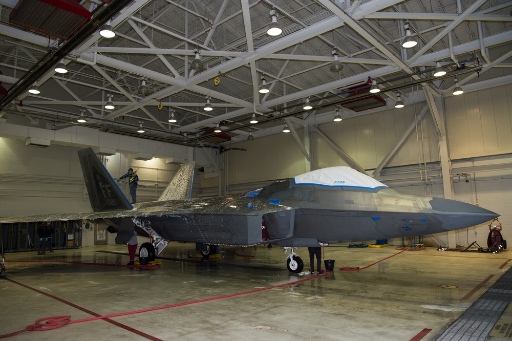 Raptor bird bath: contract gives time back to the mission