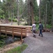 Forest service AIAD