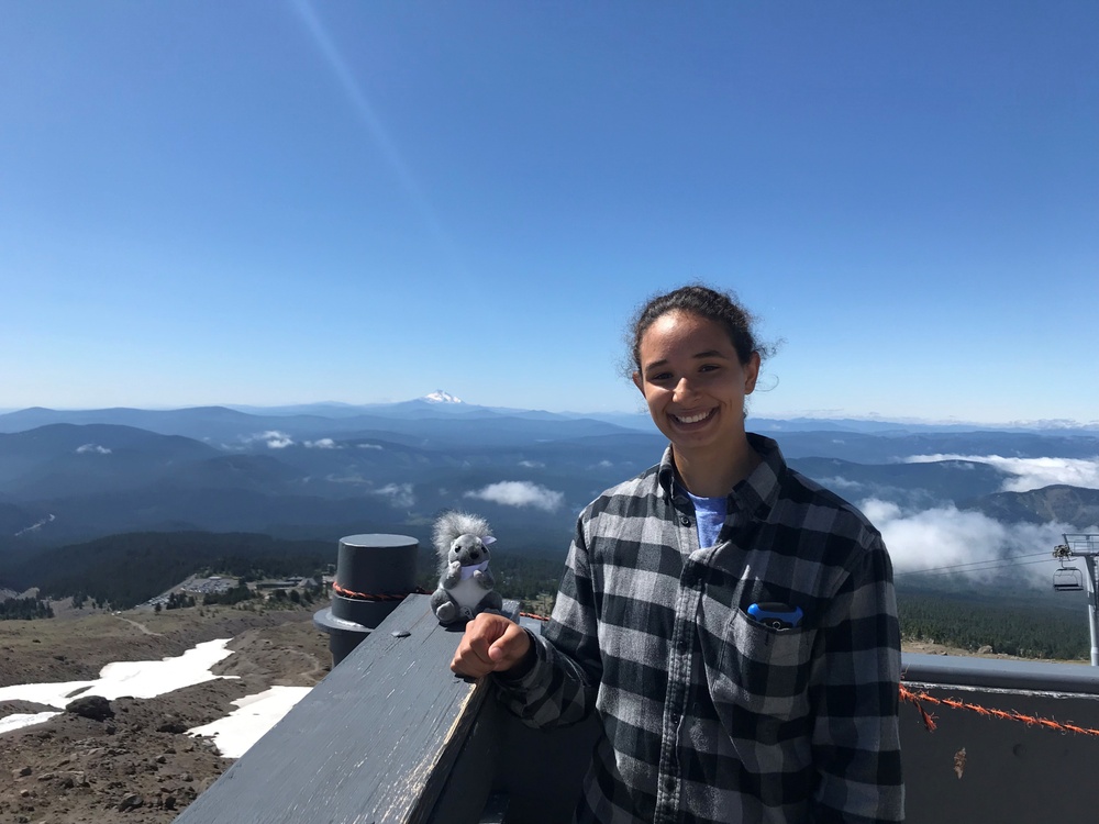 Forest Service AIAD