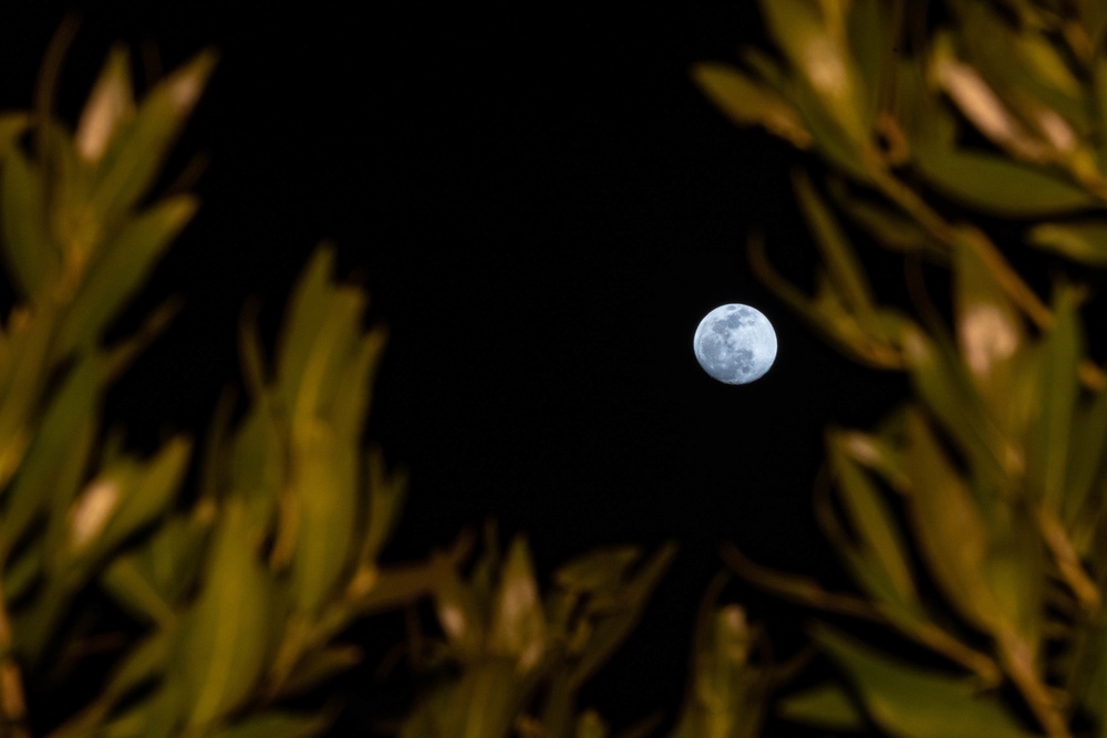Moonlit nights over Besmayah