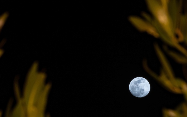 Moonlit nights over Besmayah