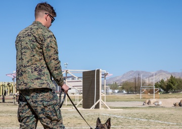 Combat Center 17th annual Job Shadowing Event