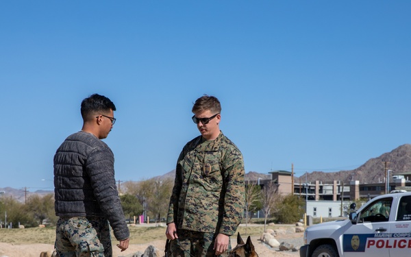 Combat Center 17th annual Job Shadowing Event
