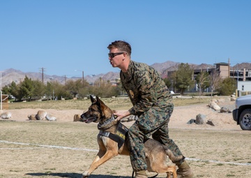 Combat Center 17th annual Job Shadowing Event