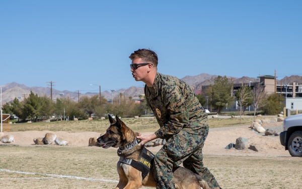 Combat Center 17th annual Job Shadowing Event