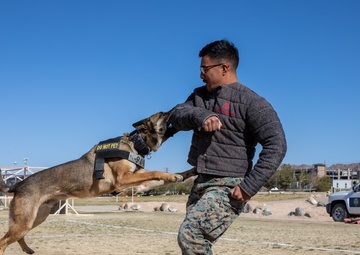 Combat Center 17th annual Job Shadowing Event