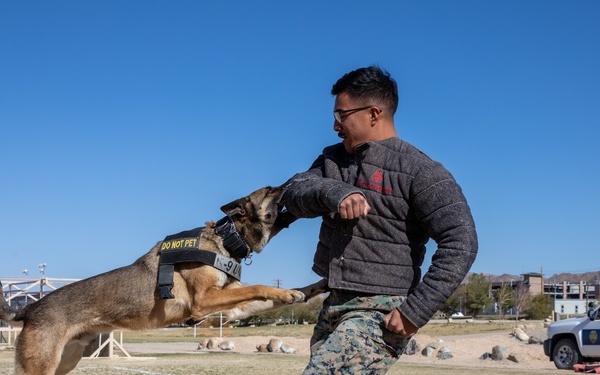 Combat Center 17th annual Job Shadowing Event