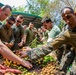 Cobra Gold 2020: Royal Thai Marines teach 31st MEU MRF jungle survival