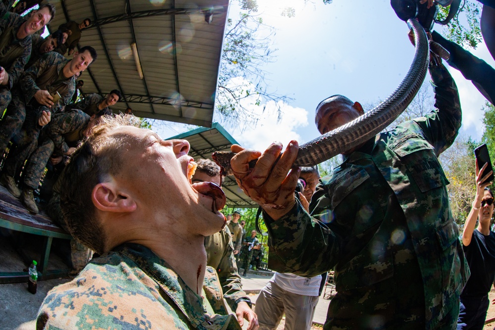 Cobra Gold 2020: Royal Thai Marines teach 31st MEU MRF jungle survival