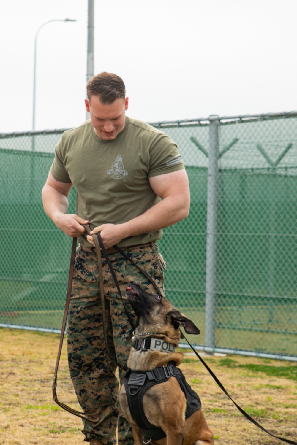 Iwakuni Military Working Dog Handlers conduct agression training