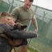 Iwakuni Military Working Dog Handlers conduct agression training