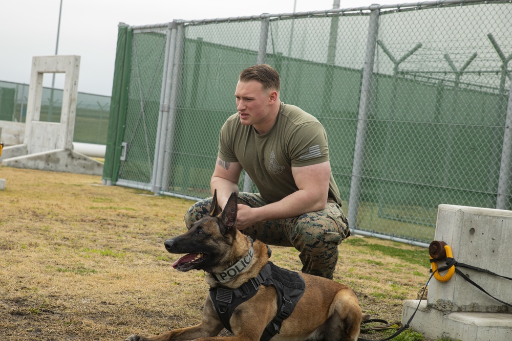 DVIDS Images Iwakuni Military Working Dog Handlers Conduct 