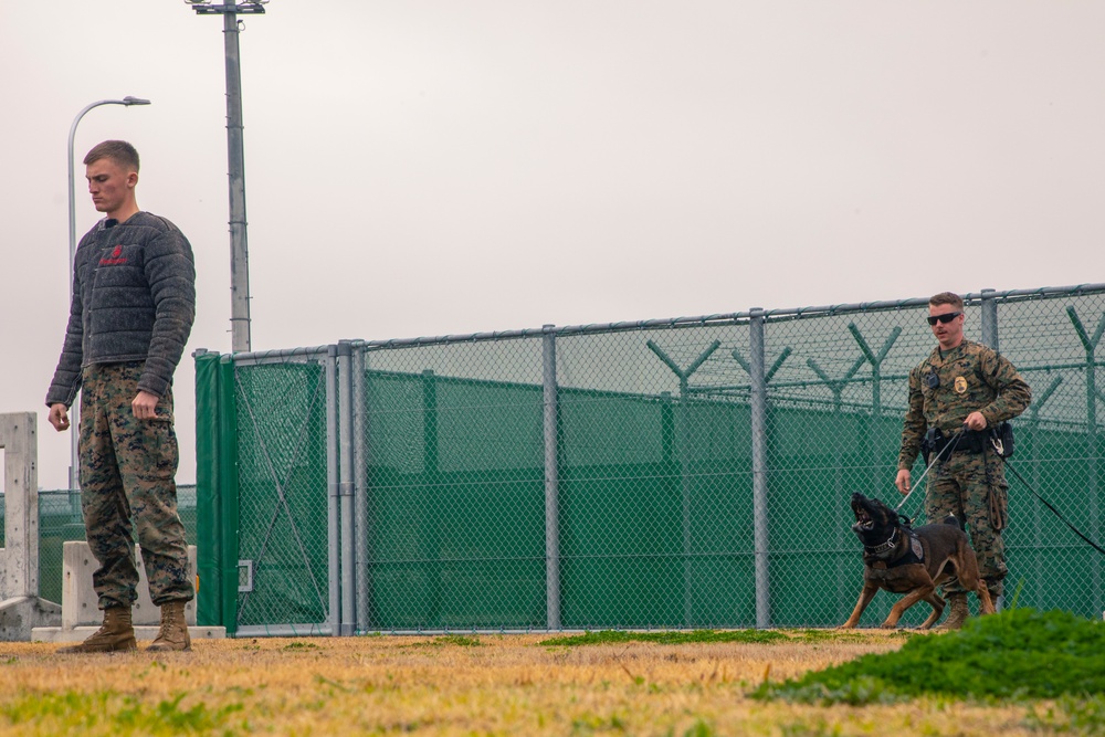 Iwakuni Military Working Dog Handlers conduct agression training