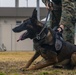 Iwakuni Military Working Dog Handlers conduct agression training