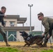 Iwakuni Military Working Dog Handlers conduct agression training