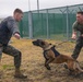 Iwakuni Military Working Dog Handlers conduct agression training