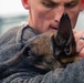 Iwakuni Military Working Dog Handlers conduct agression training