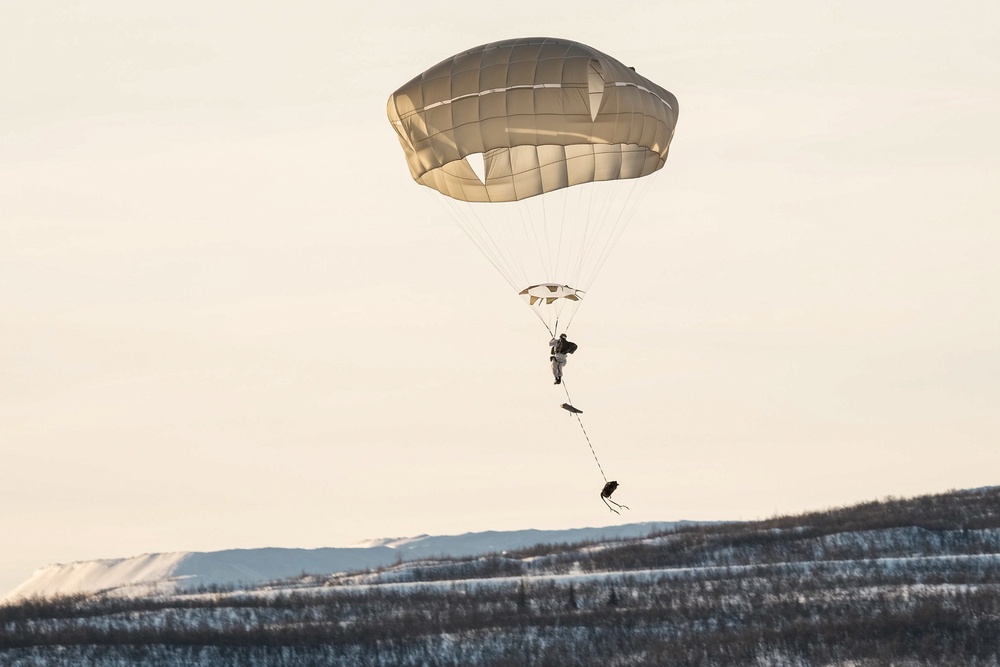 Royal Marines at Cold Response 20