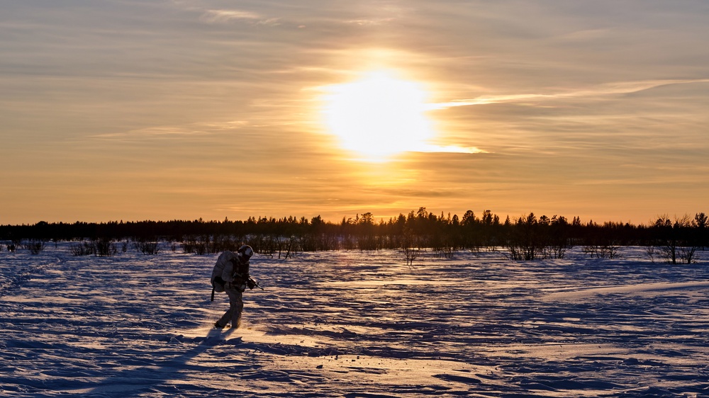 Royal Marines at Cold Response 20